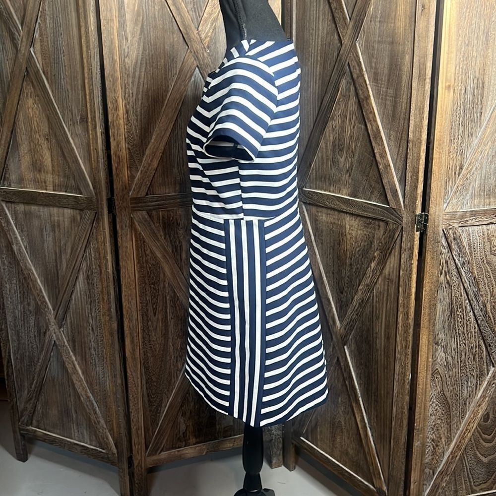 Express Dress - Picture 4 of 11